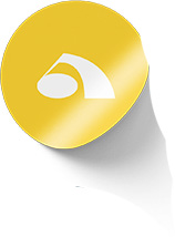 Infotek branded sticker yellow